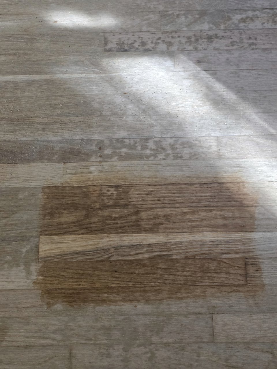 A dark stain sample on a prepared wood floor