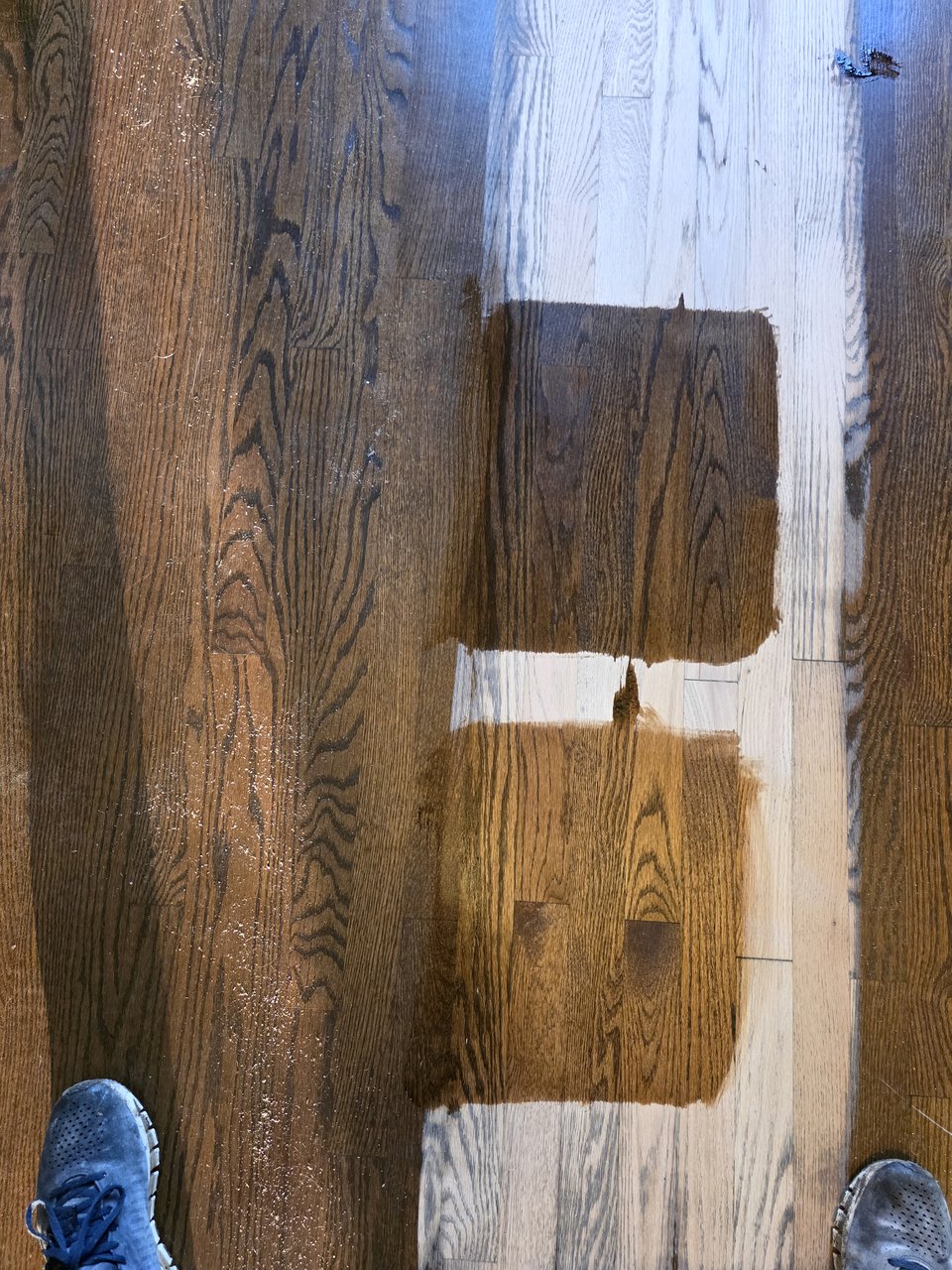 Real stain samples on an existing wood floor